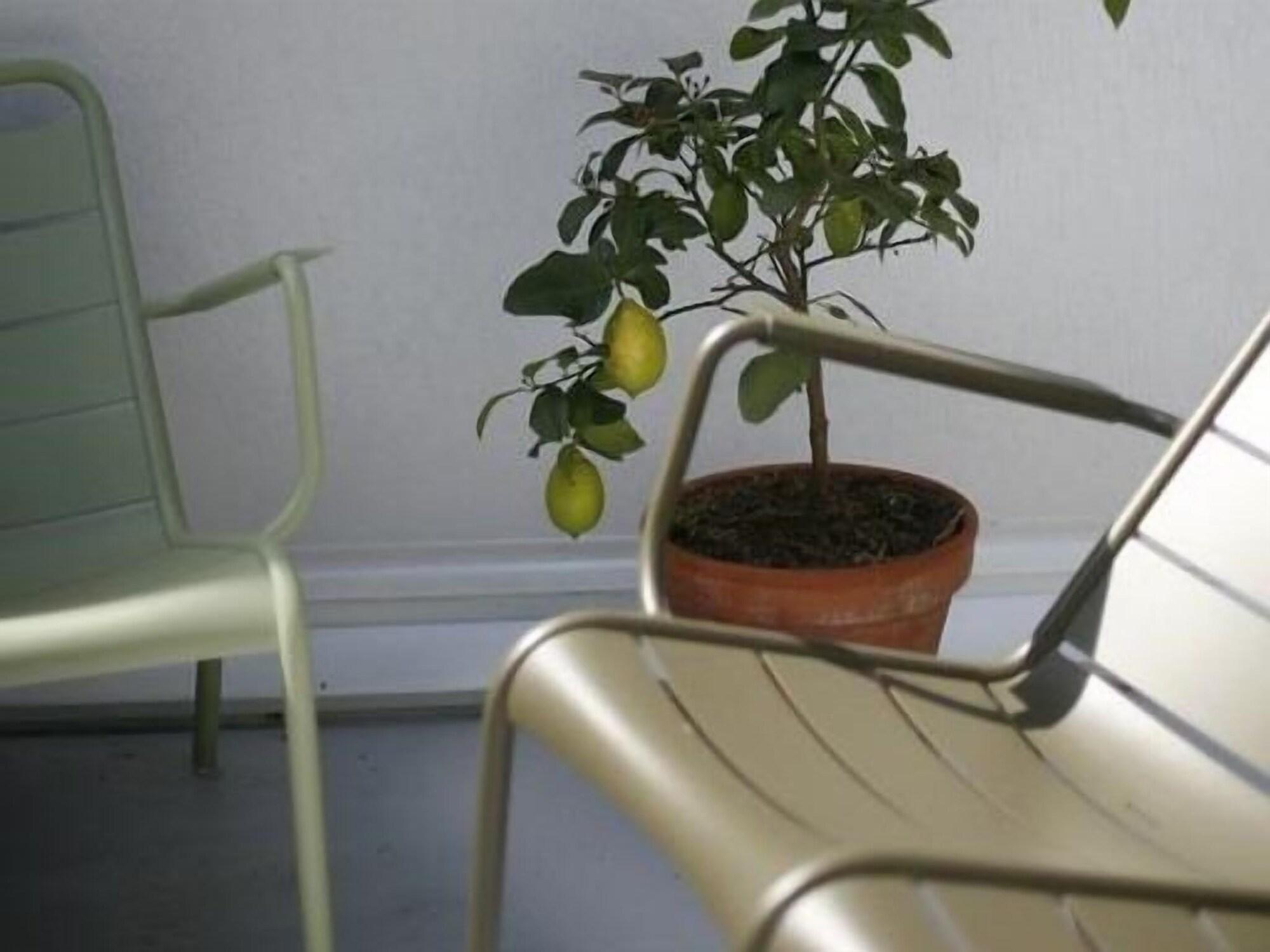 Les 4 Etoiles Bed & Breakfast Montpellier Ngoại thất bức ảnh