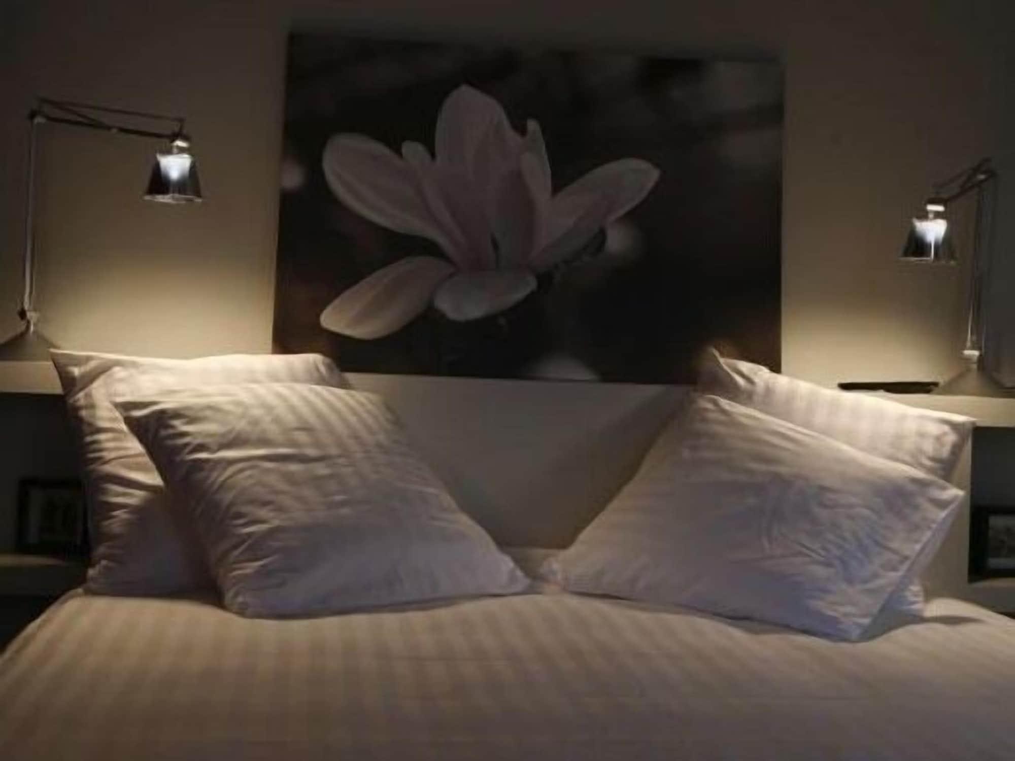 Les 4 Etoiles Bed & Breakfast Montpellier Ngoại thất bức ảnh