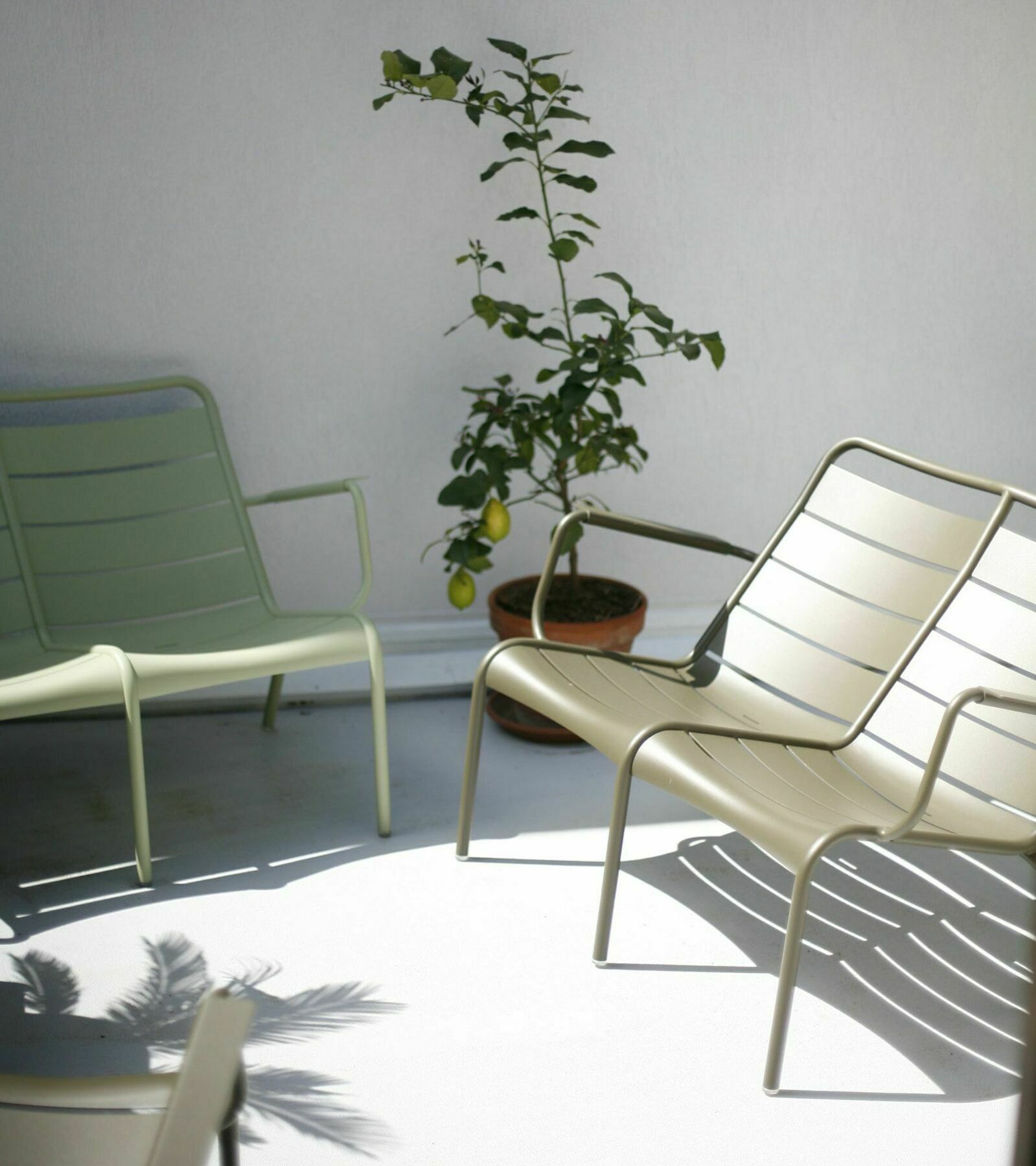 Les 4 Etoiles Bed & Breakfast Montpellier Ngoại thất bức ảnh