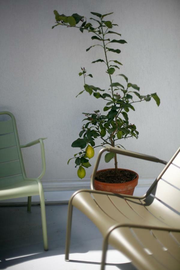 Les 4 Etoiles Bed & Breakfast Montpellier Ngoại thất bức ảnh